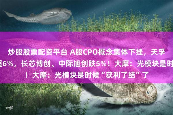 炒股股票配资平台 A股CPO概念集体下挫，天孚通信、新易盛跌超6%，长芯博创、中际旭创跌5%！大摩：光模块是时候“获利了结”了